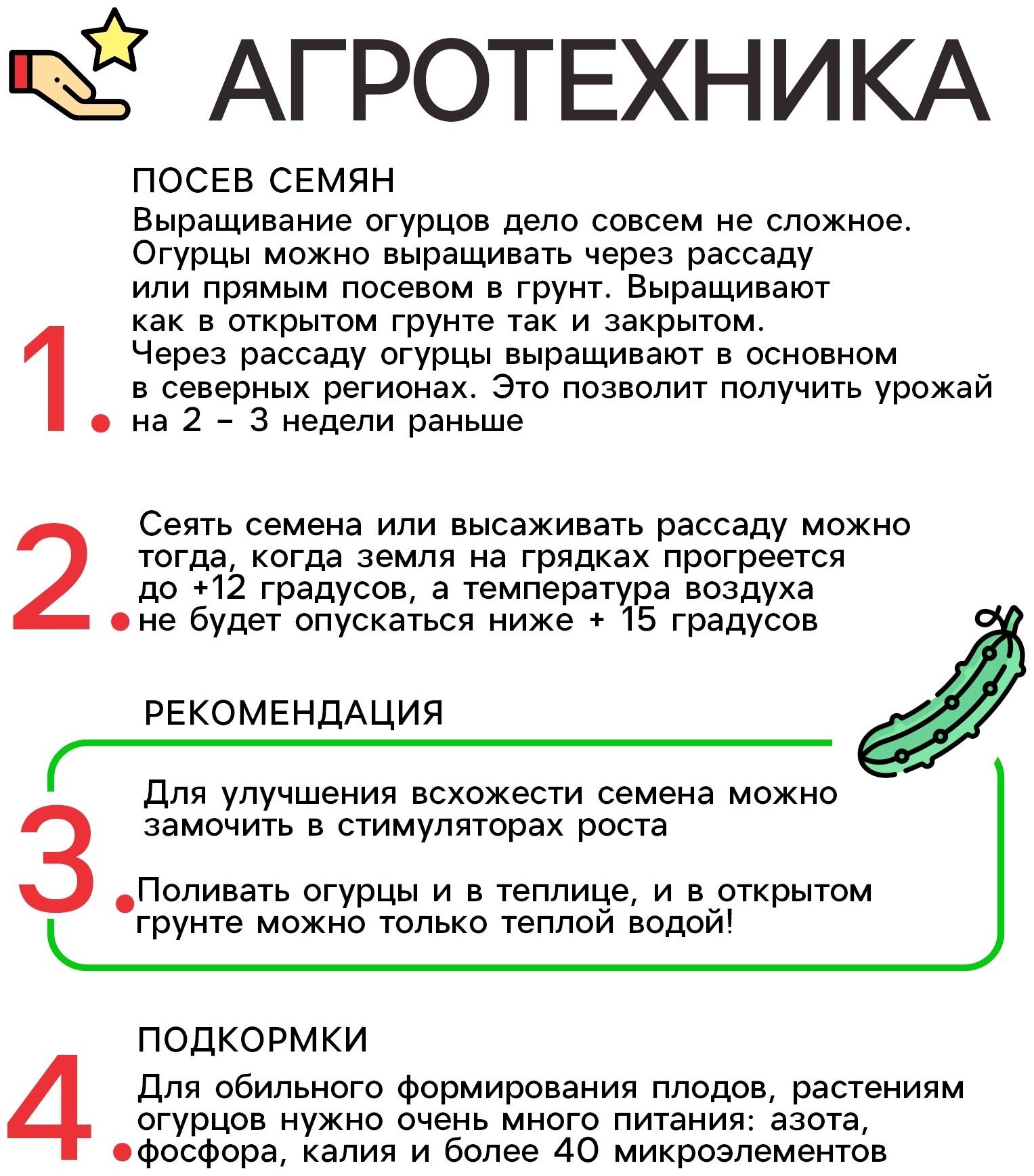 Семена огурец 