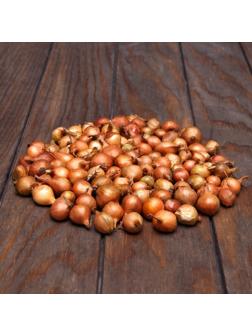 Лук севок Штутгартен ризен , р-р 18-21 2 кг, Весна 2025