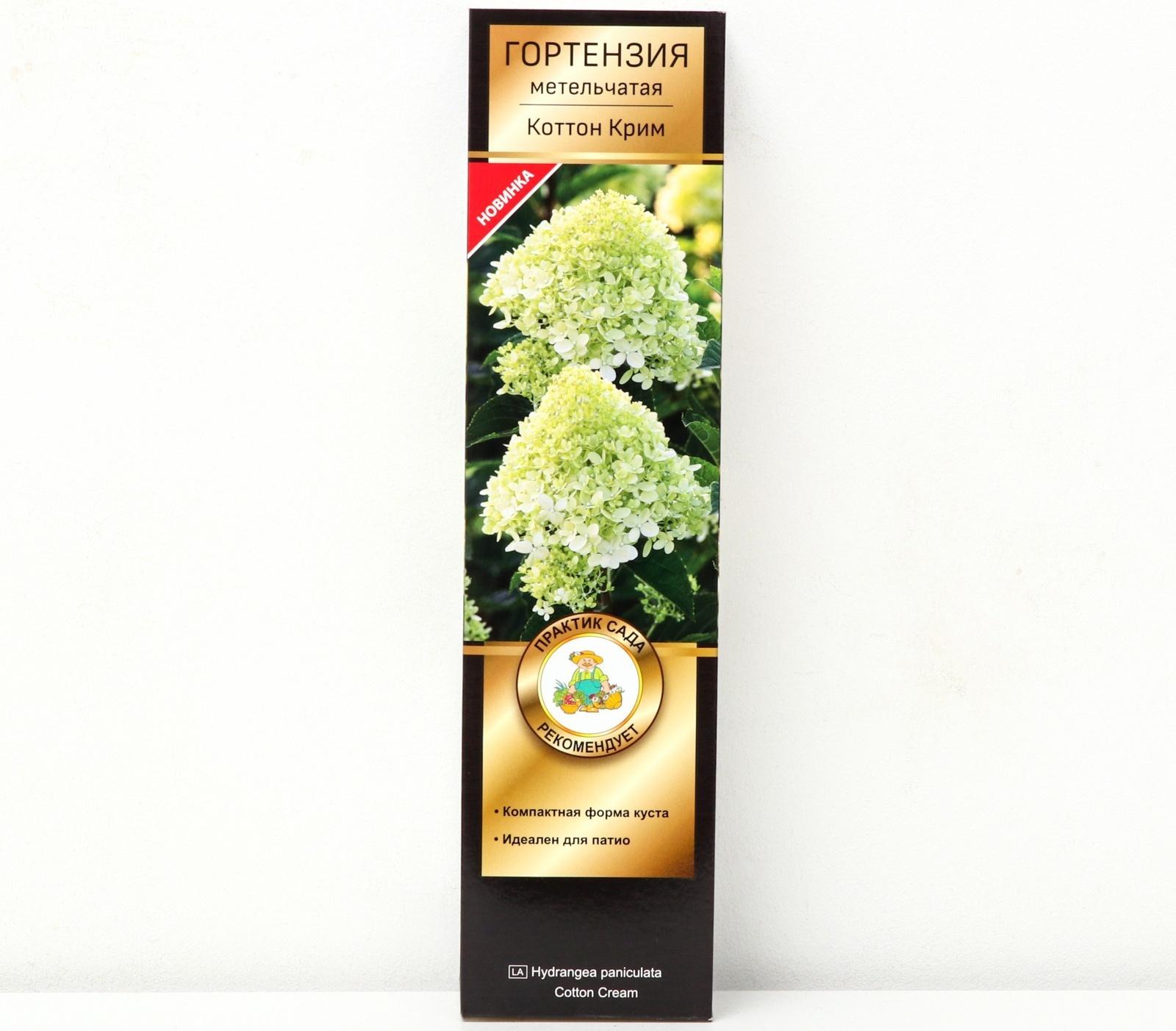 Гортензия метельчатая Патио Люкс 