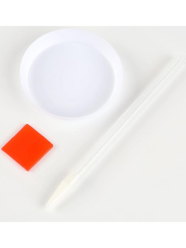 Алмазная мозаика с частичным заполнением на картонной основе «Девушка с драконом», 20 х 25 см