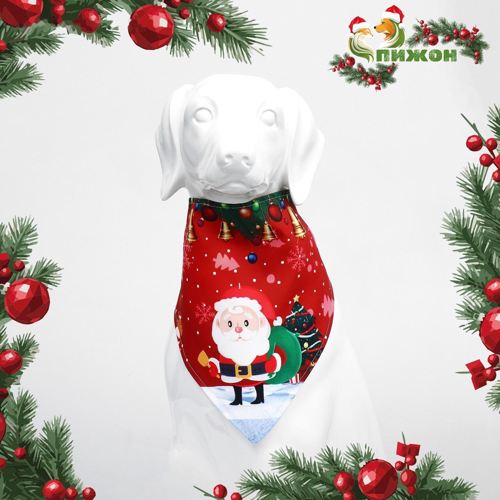 Бандана для животных 