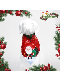 Бандана для животных 