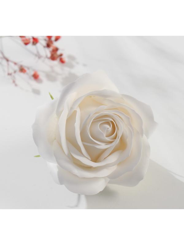 Мыльные лепестки 