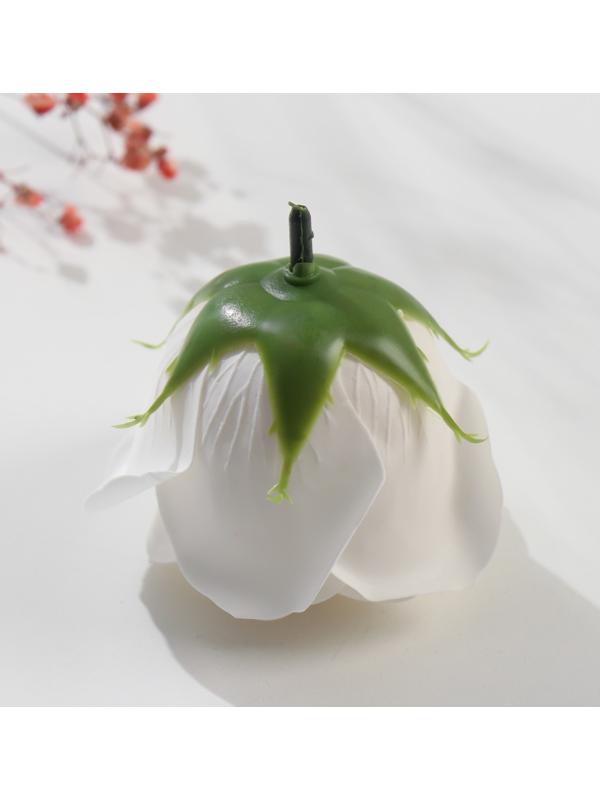 Мыльные лепестки 