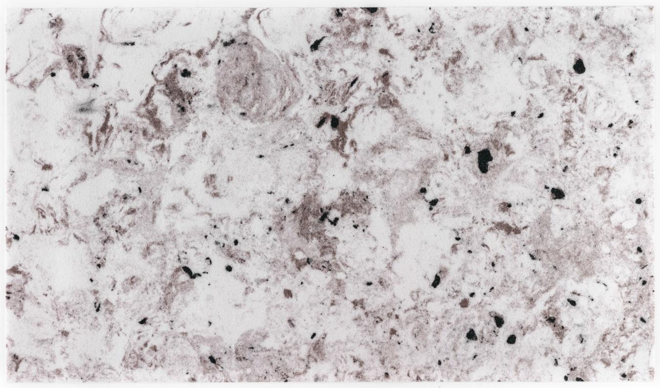 Гибкий камень Dalmatian Marble 950х550х1,25 в упаковке 10 листов 5,22 кв.м