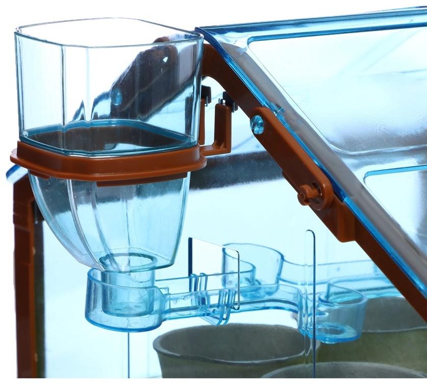 Набор для опытов «Моя мини-ферма»