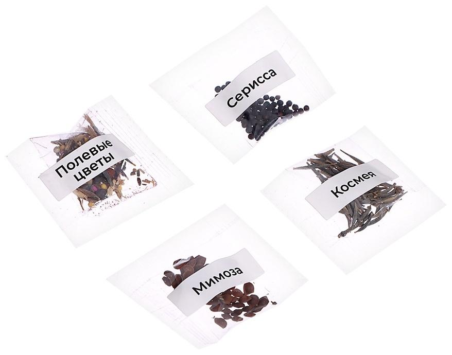 Набор для опытов «Моя мини-ферма»