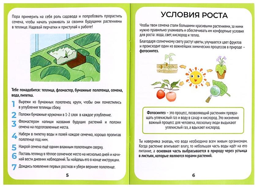 Набор для опытов «Моя мини-ферма»