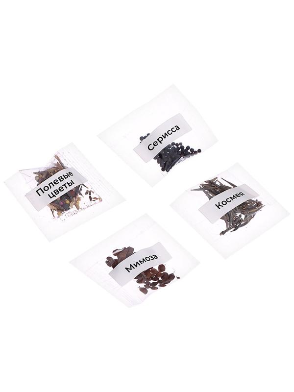 Набор для опытов «Моя мини-ферма»