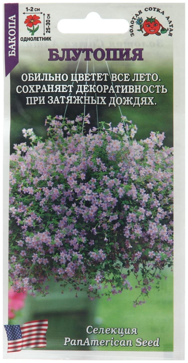 Семена цветов Бакопа 