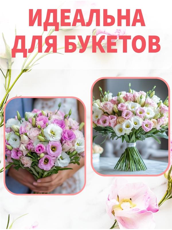 Набор Семена цветов эустомы махровой лизиантус