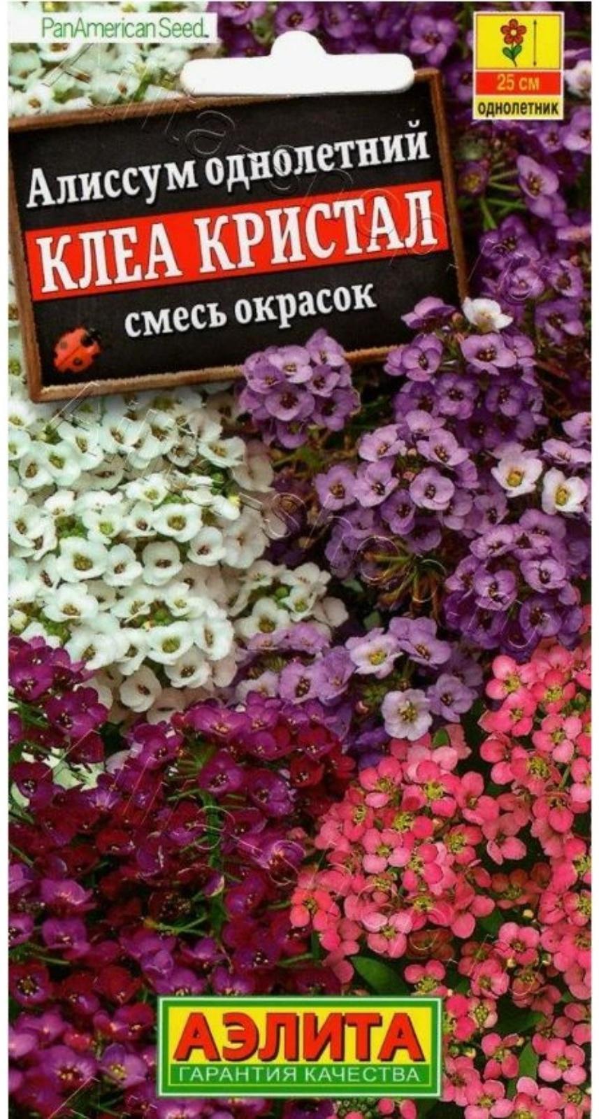 Семена Алиссум 