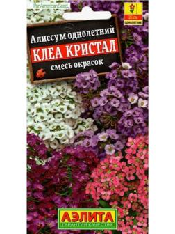 Семена Алиссум 