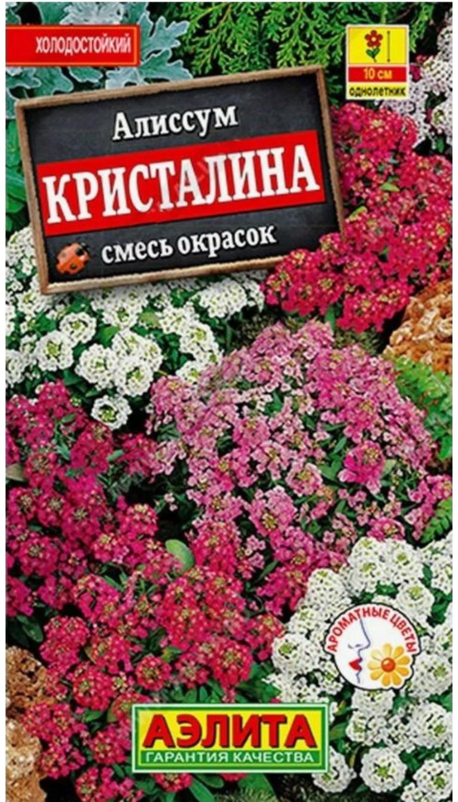 Семена Алиссум 