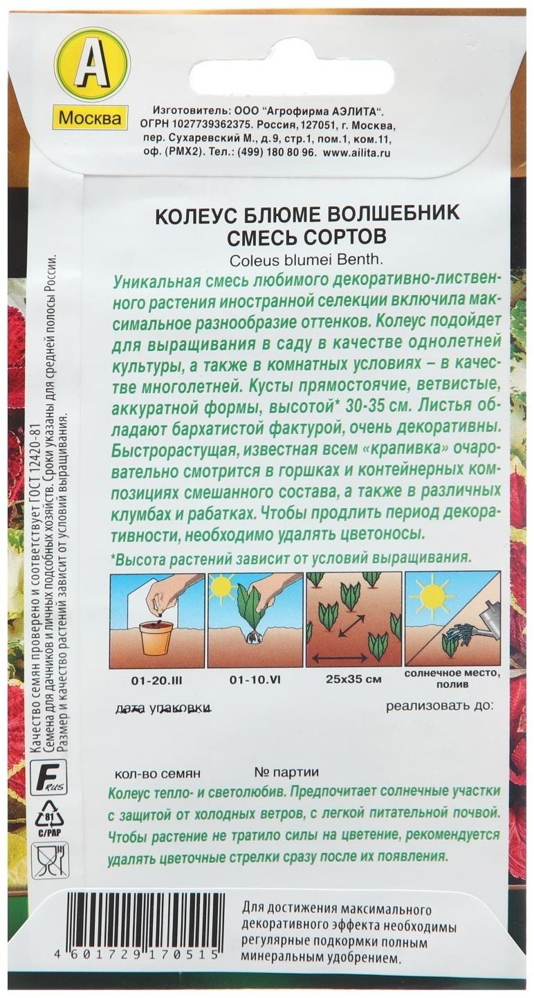 Семена Колеус 