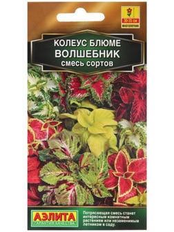 Семена Колеус 