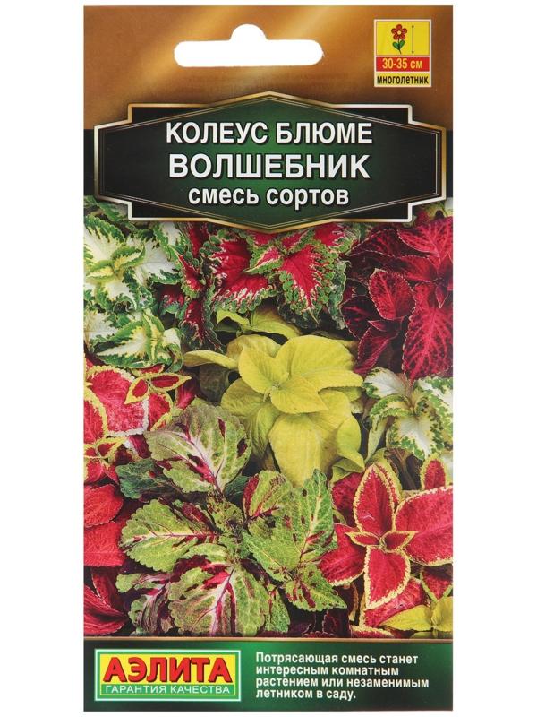 Семена Колеус 