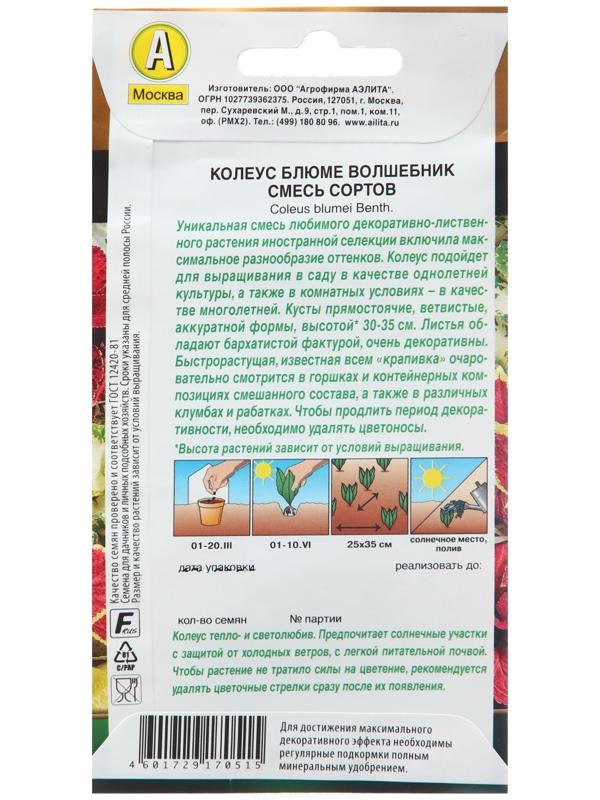 Семена Колеус 