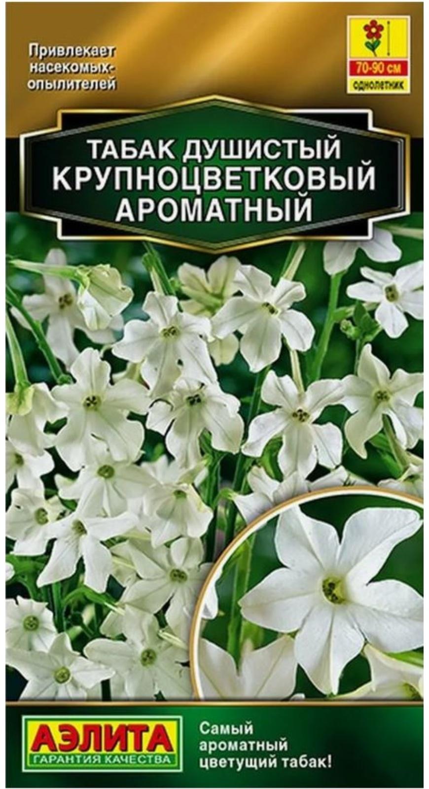 Семена Табак 