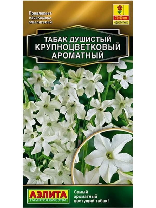 Семена Табак 