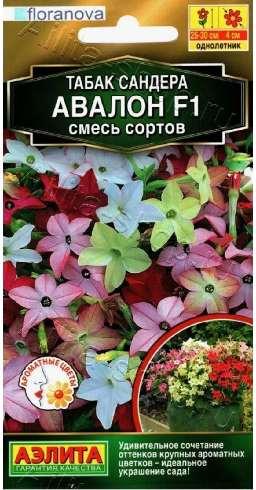 Семена Табак 