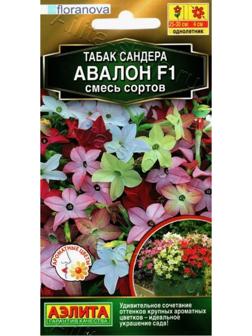 Семена Табак 