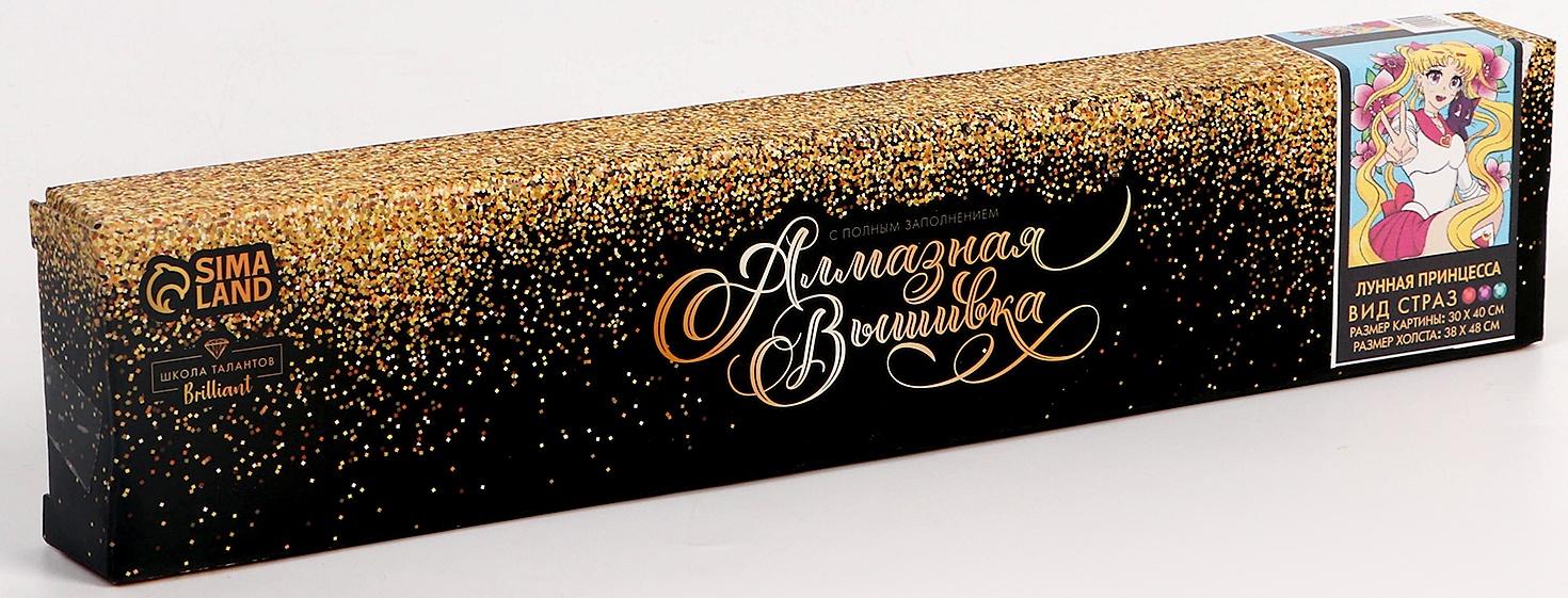 Алмазная мозаика с полным заполнением на холсте «Лунная принцесса», 30 х 40 см