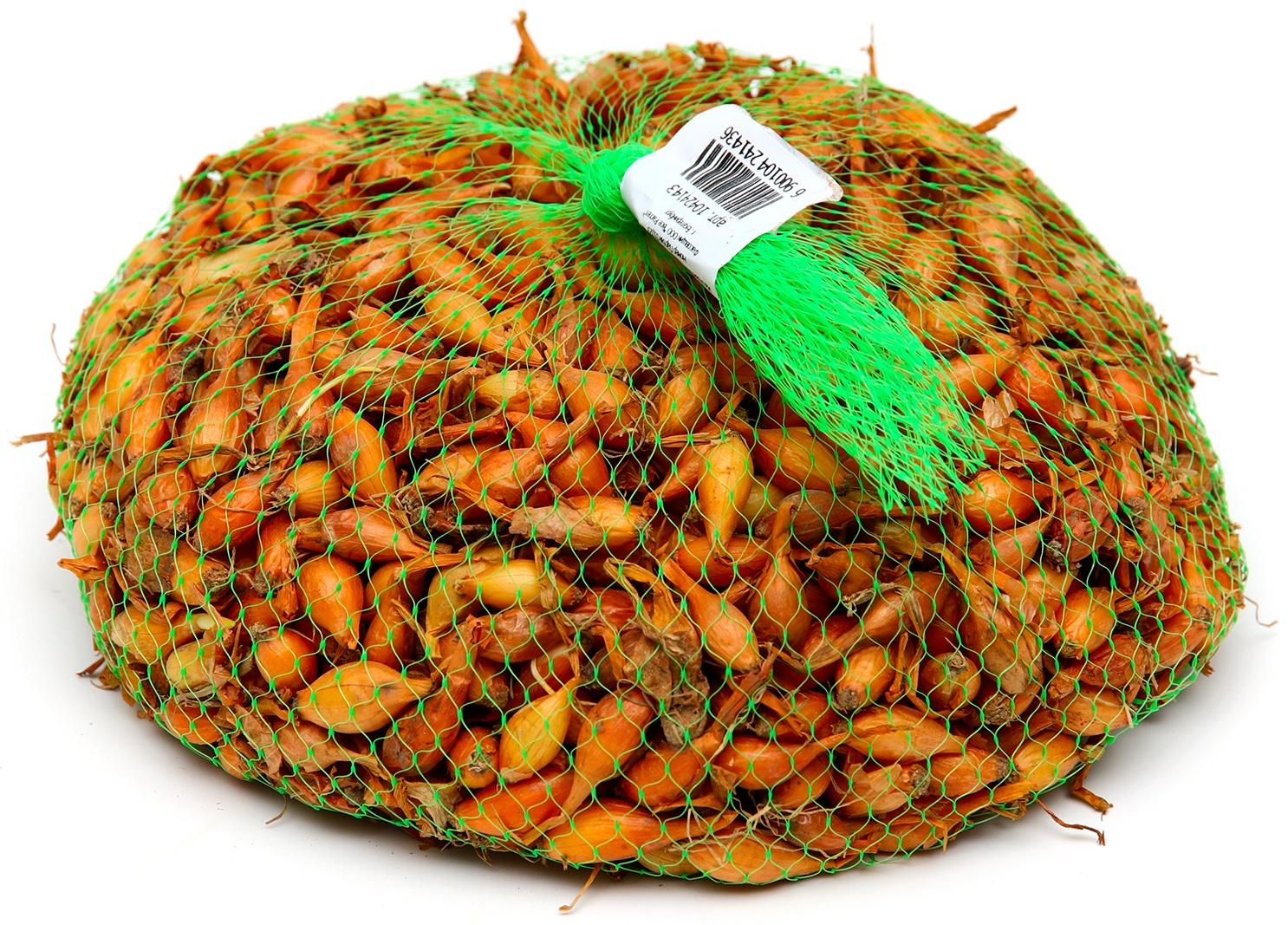 Лук севок Стурон , р-р 18-21, 0,5 кг, Весна 2025