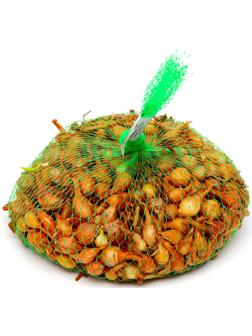 Лук севок Стурон , р-р 18-21, 2 кг, Весна 2025