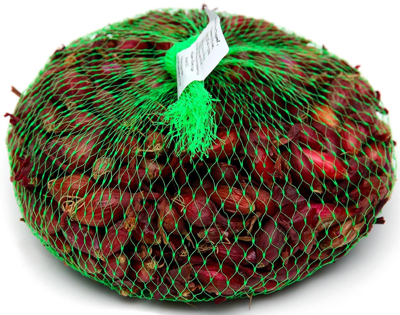 Лук севок Кармен , р-р 18-21, 0,25 кг, Весна 2025