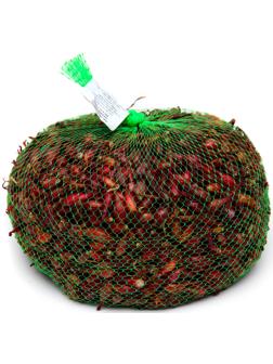 Лук севок Кармен , р-р 18-21, 1 кг, Весна 2025