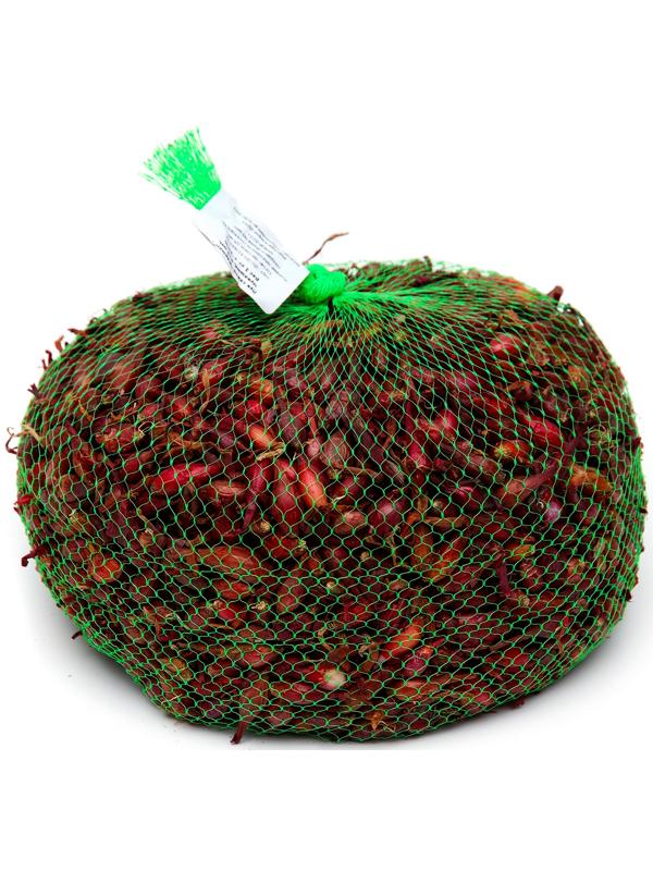 Лук севок Кармен , р-р 18-21, 1 кг, Весна 2025