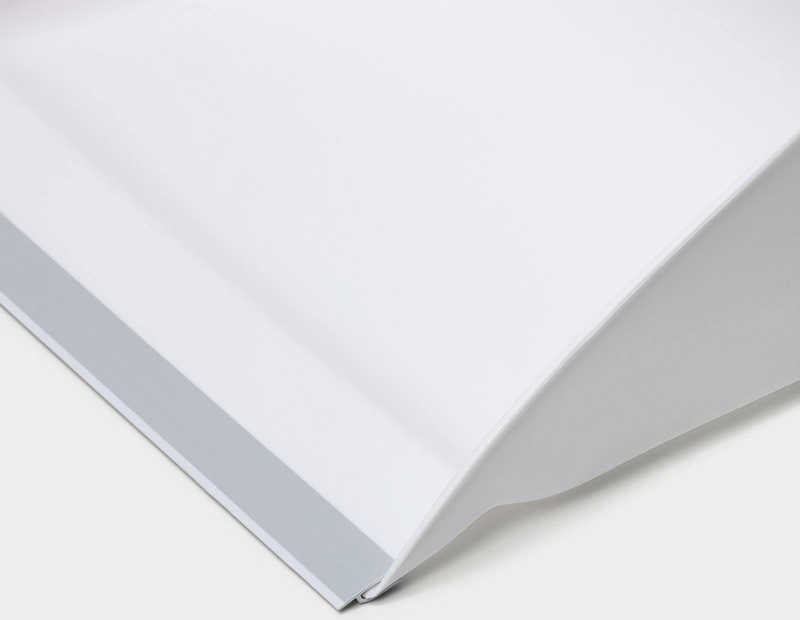 Щётка для пола Raccoon, 2 предмета: совок 27×25×88 см, щётка 26×94 см, белая