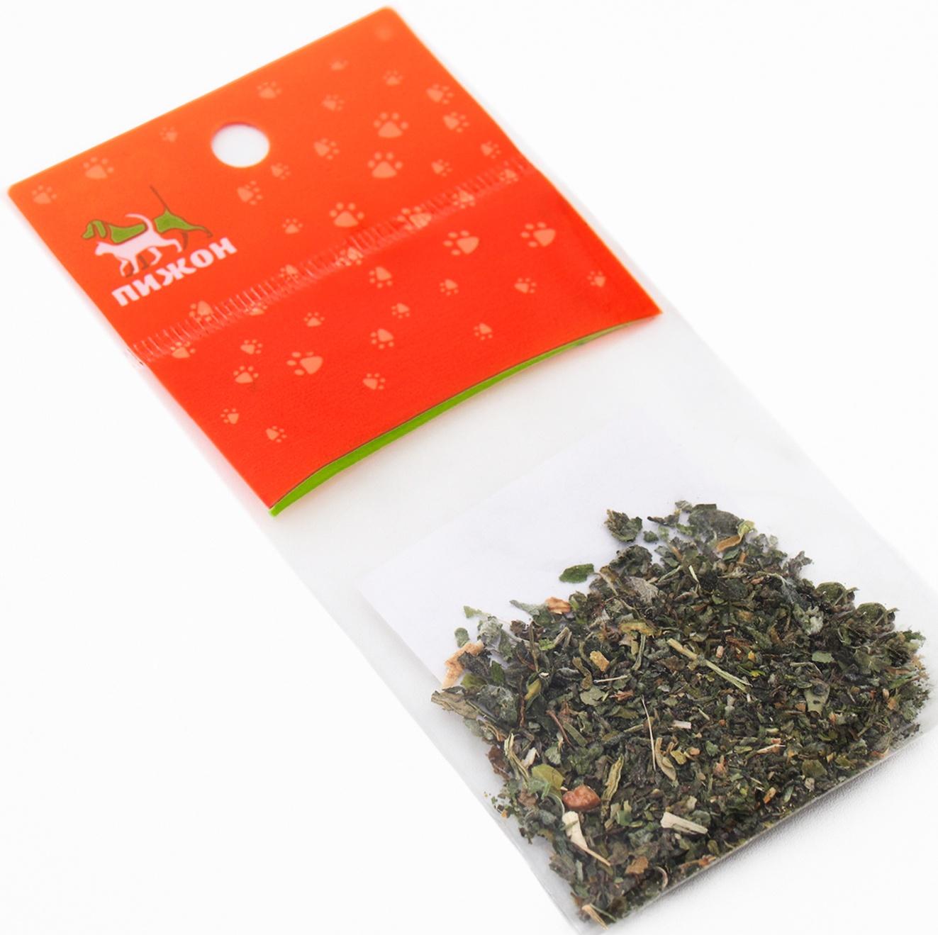 Кошачья мята 