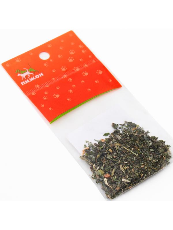 Кошачья мята 