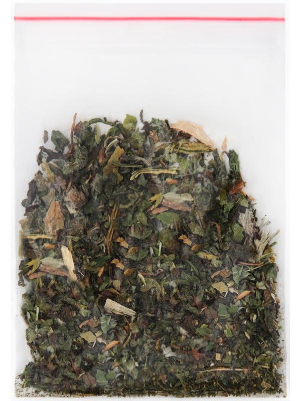 Кошачья мята 