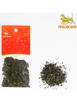 Кошачья мята 