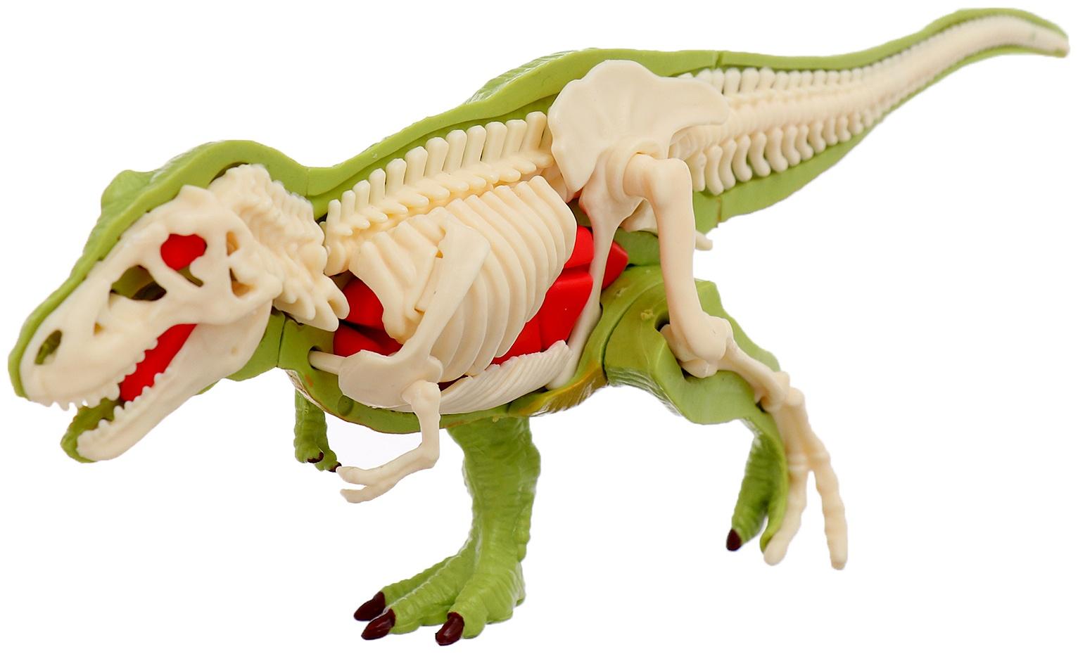 Набор для опытов «Диномир: Тираннозавр», строение тела динозавра, 33 детали