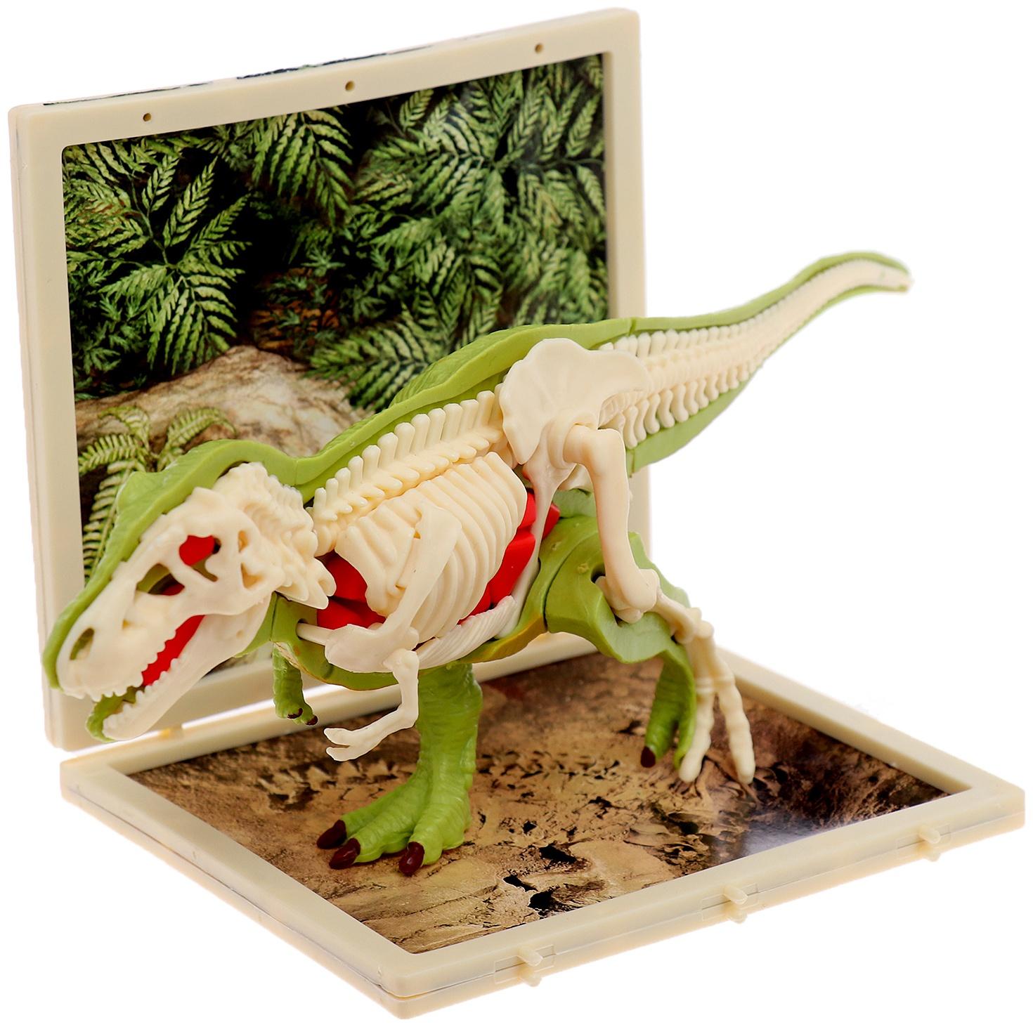 Набор для опытов «Диномир: Тираннозавр», строение тела динозавра, 33 детали