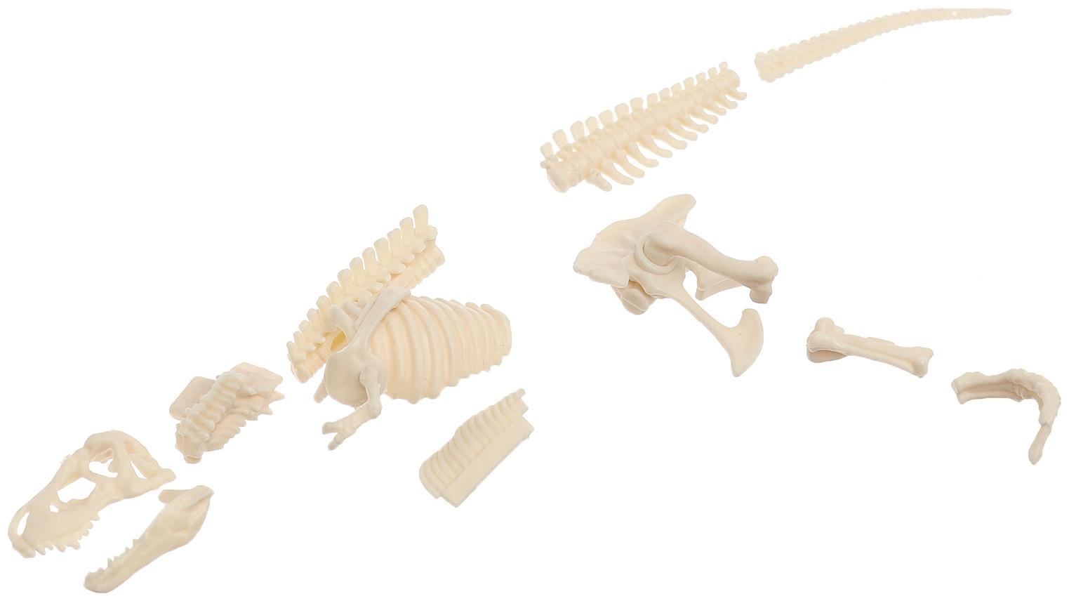 Набор для опытов «Диномир: Тираннозавр», строение тела динозавра, 33 детали