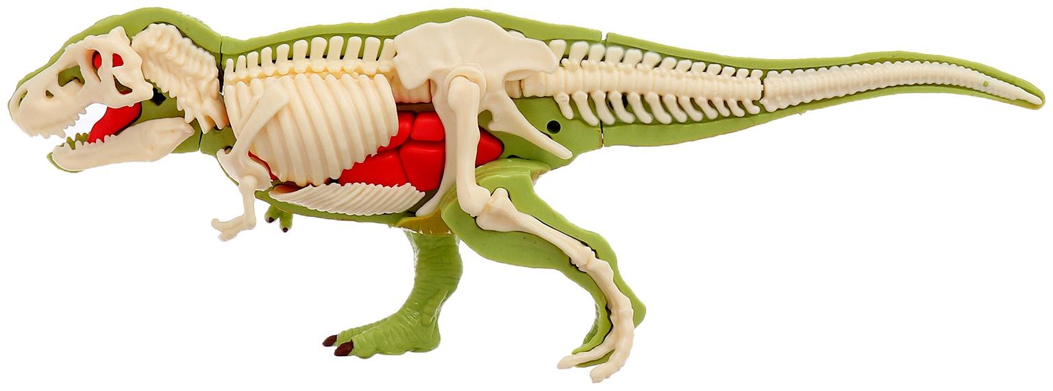 Набор для опытов «Диномир: Тираннозавр», строение тела динозавра, 33 детали