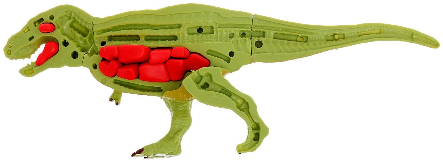 Набор для опытов «Диномир: Тираннозавр», строение тела динозавра, 33 детали