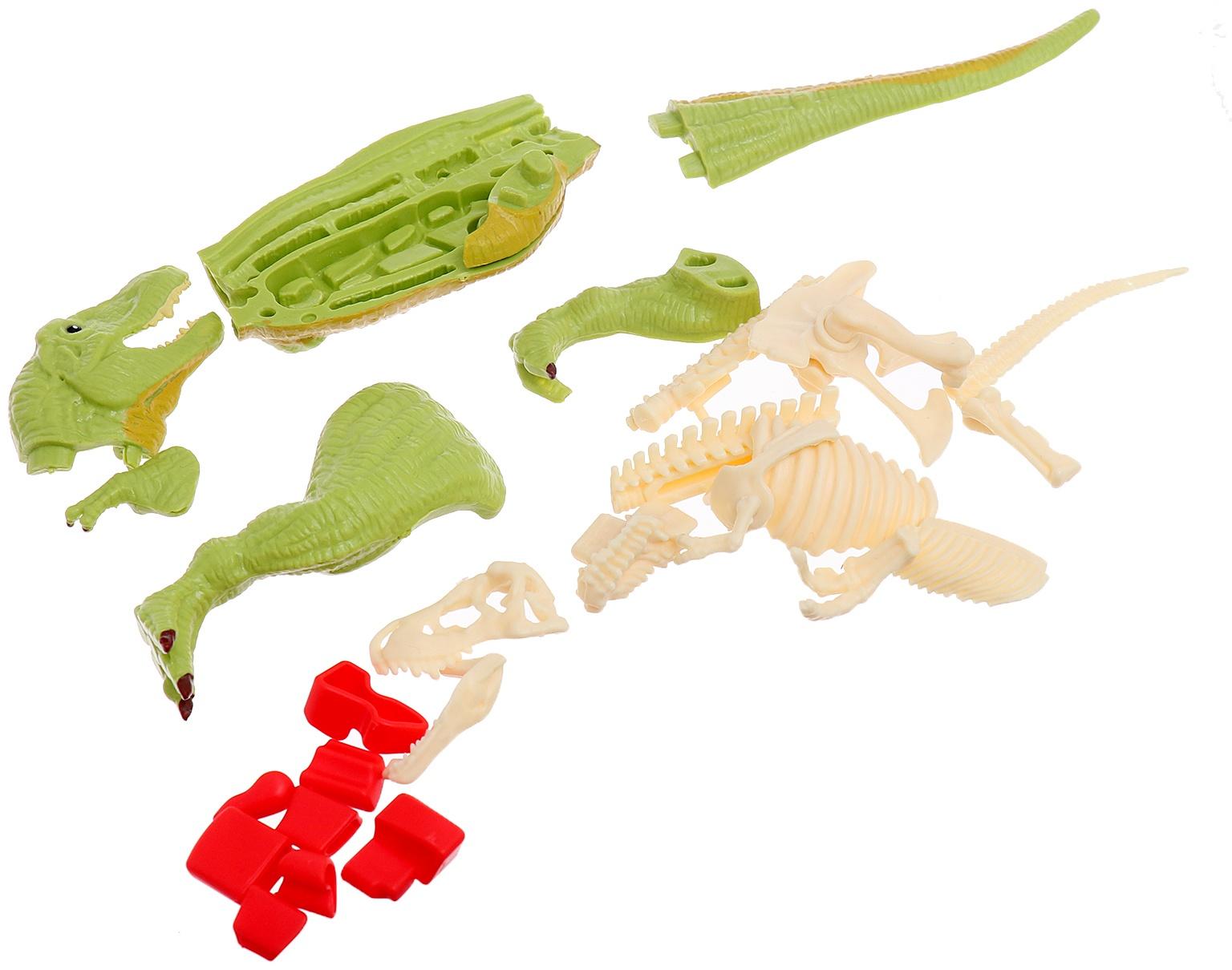 Набор для опытов «Диномир: Тираннозавр», строение тела динозавра, 33 детали