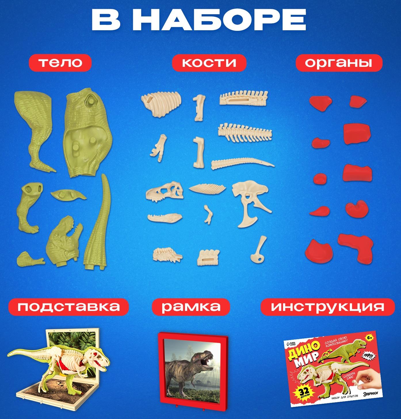 Набор для опытов «Диномир: Тираннозавр», строение тела динозавра, 33 детали