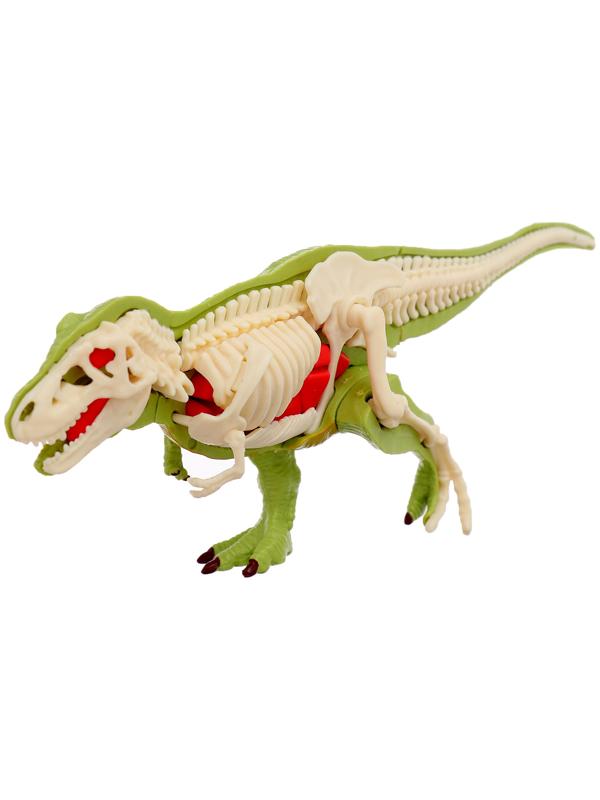 Набор для опытов «Диномир: Тираннозавр», строение тела динозавра, 33 детали