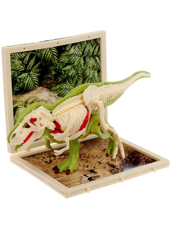 Набор для опытов «Диномир: Тираннозавр», строение тела динозавра, 33 детали