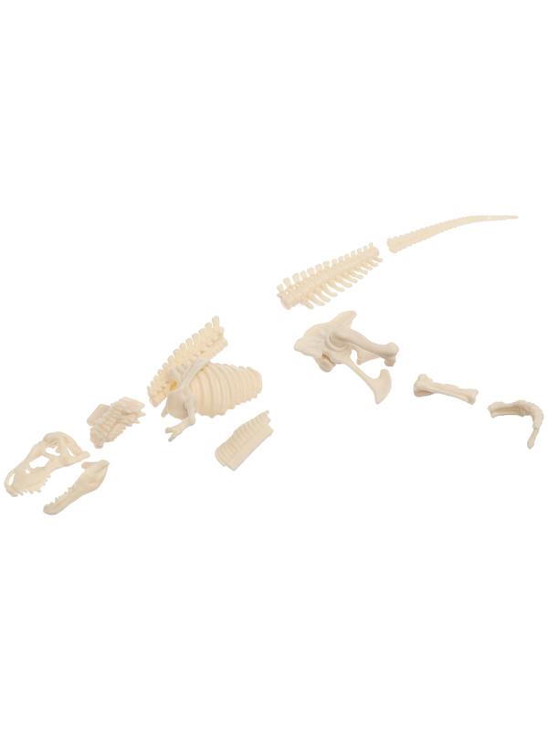 Набор для опытов «Диномир: Тираннозавр», строение тела динозавра, 33 детали