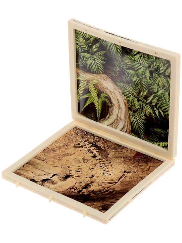 Набор для опытов «Диномир: Тираннозавр», строение тела динозавра, 33 детали