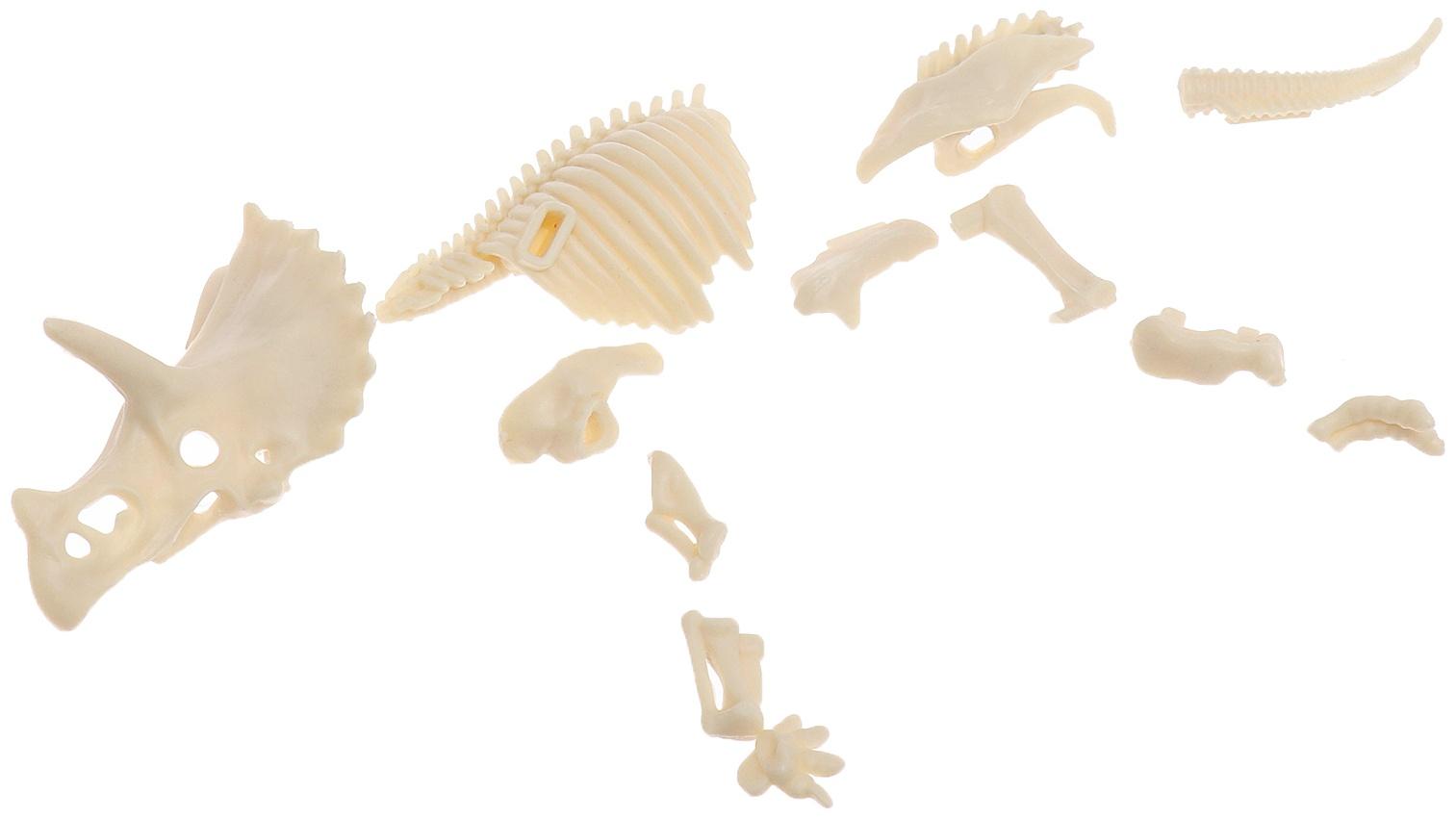 Набор для опытов «Диномир: Трицератопс», строение тела динозавра, 33 детали