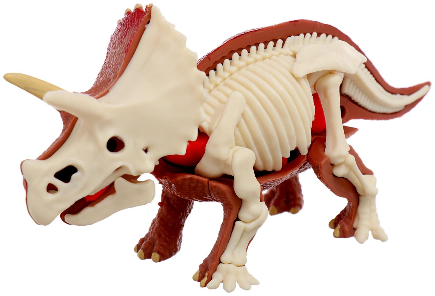 Набор для опытов «Диномир: Трицератопс», строение тела динозавра, 33 детали